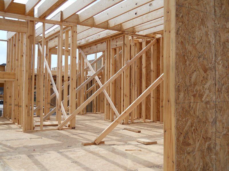 Framing Looking from Back Door